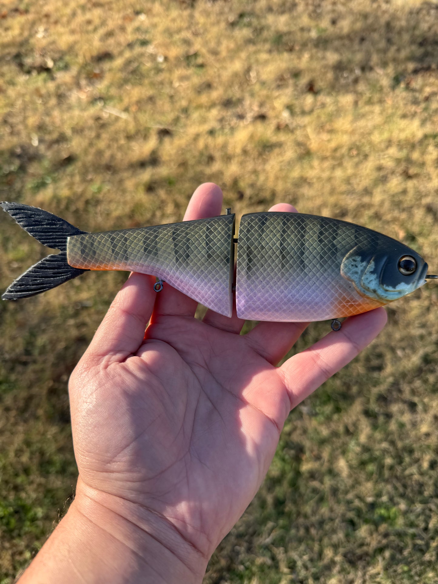 EL JEFE “BLUE GILL”