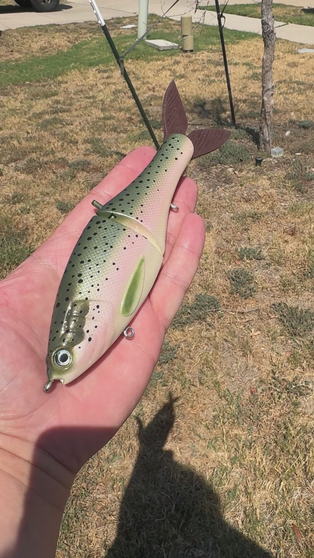 CUSTOM AXIS 7